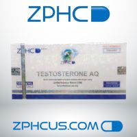 Testosterone AQ 100 mg/ml, 1ml Ampoule (10 Ampoules) – ZPHC